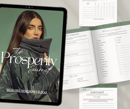 The Prosperity Journal