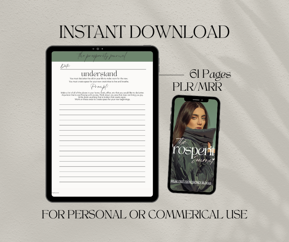 The Prosperity Journal