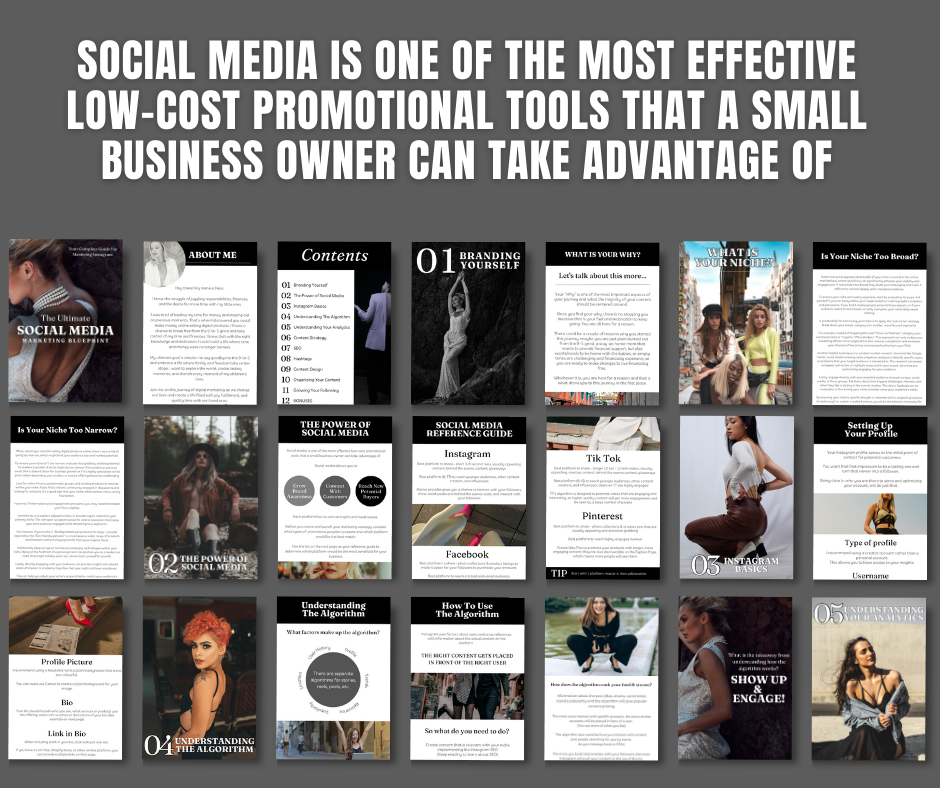 The Ultimate Social Media Marketing Blueprint with MRR