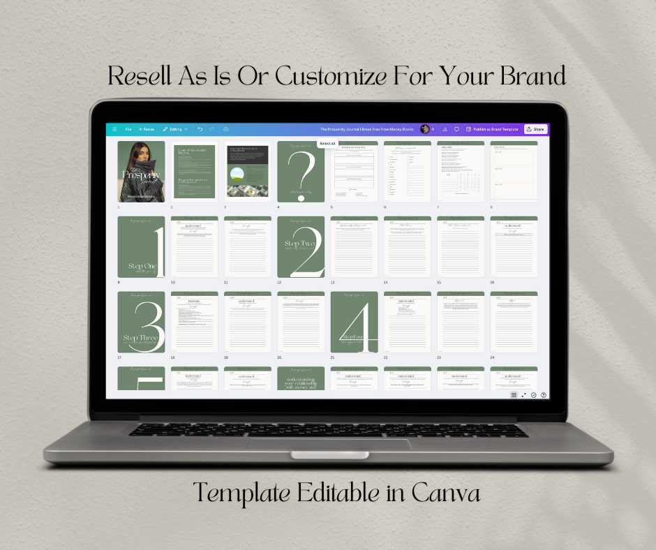 The Prosperity Journal