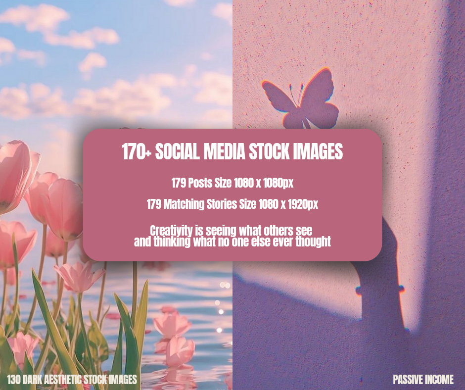 170+ Pink Boho Aesthetic Social Media Stock Images